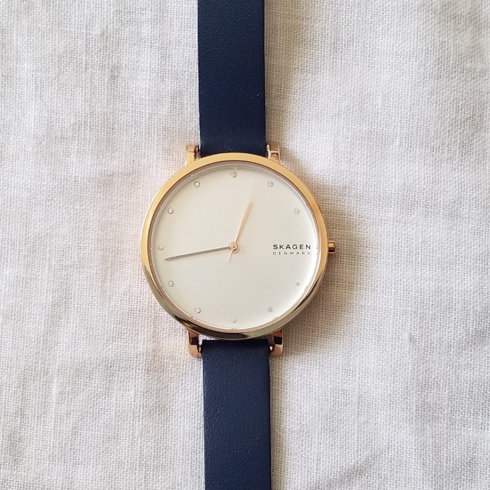 Skagen Watch